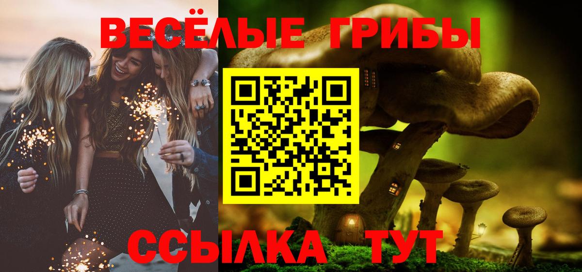 Псилоцибиновые грибы GOLDEN TEACHER Чистополь